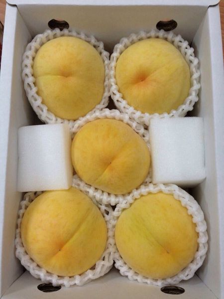 Peach from 대만 supplied by Sams Fruit Co., Ltd. - Carton Box (=Cardboard Box) 신선 복숭아