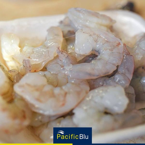 Shrimp from 칠레 supplied by Pacific Blu - Fresh (=Chilled=Raw) 신선 새우