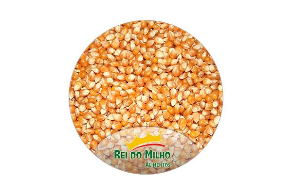 Popcorn Corn from 브라질 supplied by Rei do Milho Alimentos - For Food 팝콘 스낵