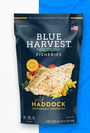 Wild Haddock from 미국 supplied by Blue Harvest Fisheries - 1-2 kg 냉동 해덕