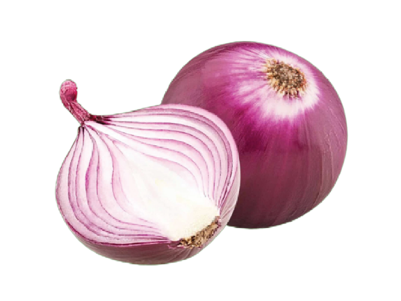 Onion from Kenya supplied by Ngong Veg Kenya Ltd - Red Fresh Onion