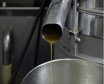 Avocado Oil from Mexico supplied by Sejum Europe - Conventional Avocado Oil
