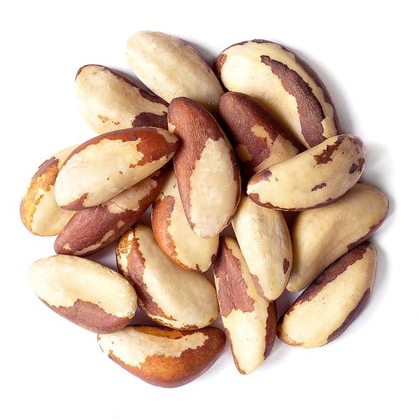 Brazil Nut from 볼리비아 supplied by PAMOC - Shelled (=Kernel) 브라질너트 알맹이