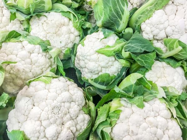 Fresh Whole Cauliflower from 그리스 supplied by MENORKA SOLE SHAREHOLDER CO., LTD. - White 신선 콜리플라워