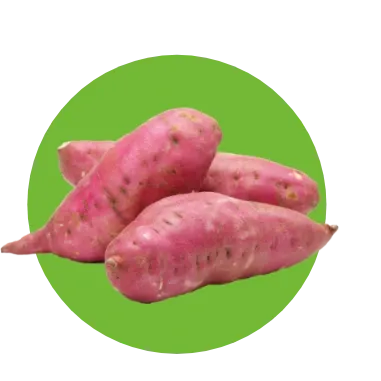 Sweet Potato from 이집트 supplied by KAJAK FROZEN FOODS - Washed 고구마