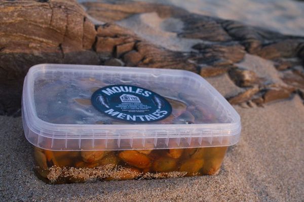 Preserved Mussel Meat from 영국 supplied by Kintyre Smokehouse - Meat 홍합 통조림