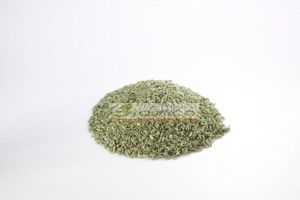 Fennel Seed from Egypt supplied by Grass Co. Herbs and Spices - Conventional Fennel Seed