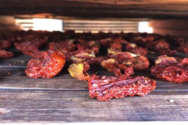 Organic Dried Tomato from 미국 supplied by Culinary Farms - 건조 건조 토마토