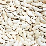 Pumpkin Seed from 이집트 supplied by El Hamd Co. - Whole 호박 씨