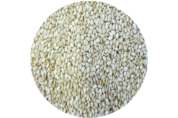 Organic Sesame from 수단 supplied by Avantix Trade Co LTD - 생 참깨