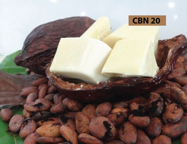 Cocoa Butter from 말레이시아 supplied by KL Kris Food Industries Sdn Bhd - Natural 코코아버터