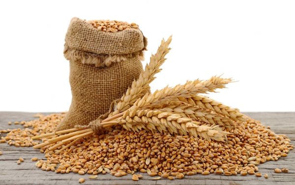 Wheat Bran from 이탈리아 supplied by Semolerie Giuseppe Sacco & Figli Srl - Durum 밀겨