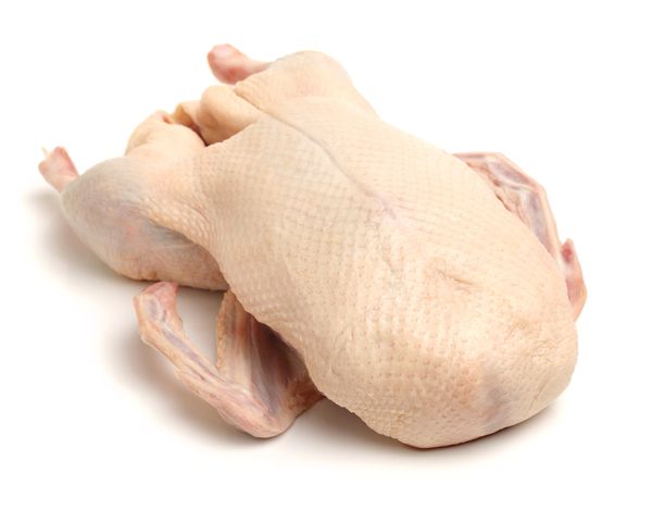 Fresh Duck Meat from 독일 supplied by Hof Sallach GbR - Fresh (=Chilled=Raw) 오리고기