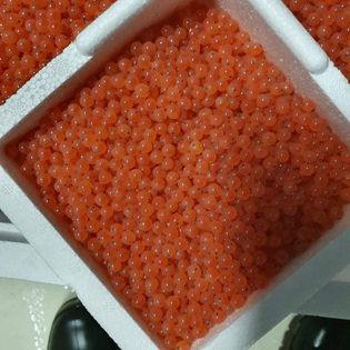 Caviar from 아이슬란드 supplied by ICE FISH FARM - Fiskeldi Austfjarða - Fresh (=Chilled=Raw) 캐비아