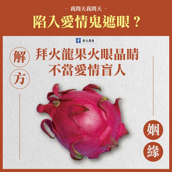 Dragonfruit from 대만 supplied by Taipei Agricultural Products Marketing Corporation - Red 신선 용과