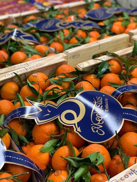 Oranges from Germany supplied by A + S Frucht GmbH & CO. KG - Orange Fresh Orange