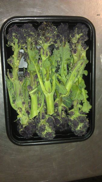 Purple Broccoli from United Kingdom supplied by Southalls of Norchard - Purple Fresh Headed Broccoli