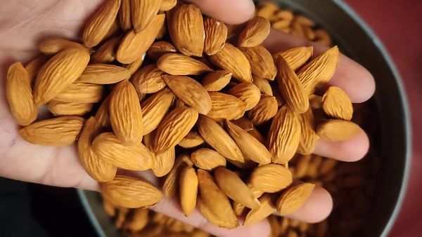 Almonds from 이란 supplied by THE ROASTING COMPANY LTD - 갈색 아몬드 알맹이