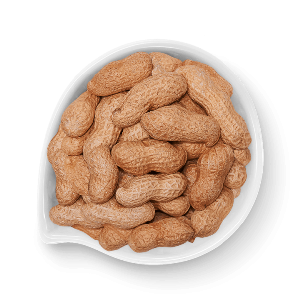 Peanuts from 브라질 supplied by Frutas Bonfim - With skin 땅콩 알맹이