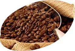 Coffee Beans from 브라질 supplied by Kaffee Exportadora e Importadora Ltda - Hard Bean (=HG) 생원두