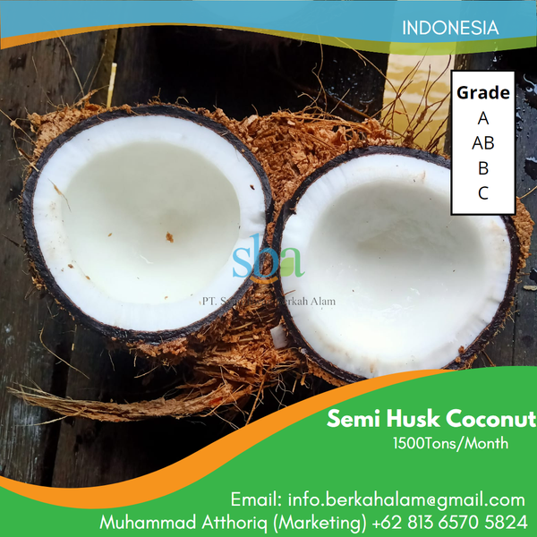Coconut from 인도네시아 supplied by PT Syamfiwan Berkah Alam - Easy Open 기타 신선 코코넛