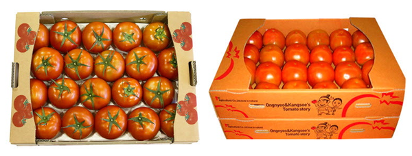 Fresh Tomatoes from 대한민국 supplied by NH Trading Co., Ltd. - Red 신선 토마토