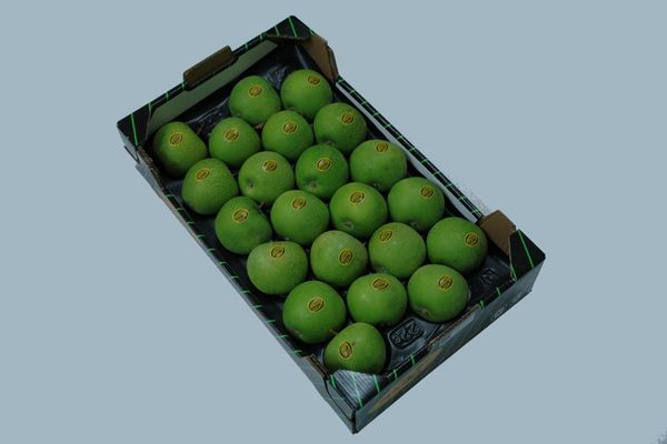 Fresh Whole Apple from Spain supplied by Global Hmg Sat 9997 - Carton Box (=Cardboard Box) Fresh Apple