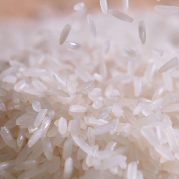 Jasmine 85 Fragrant Rice Best Selling High Benefits Using For Food HALAL BRCGS HACCP ISO 22000 Certificate Customized Packing from 베트남 supplied by Reconnect International Limited Company - 식품용 쌀