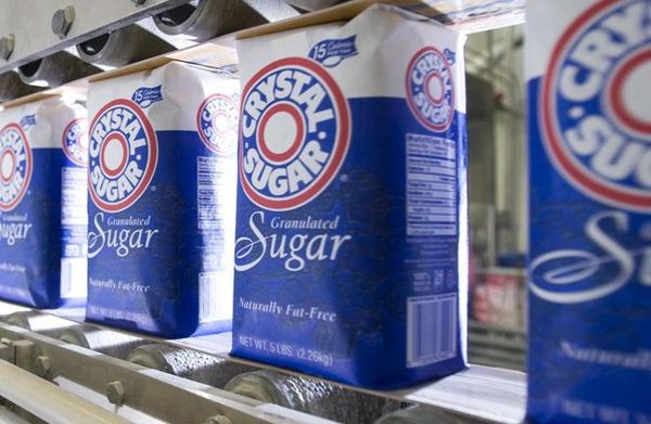 Sugar from United States supplied by American Crystal Sugar Company - Brown Sugar - Light Brown Sugar Sugar