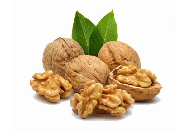 Walnuts from 이란 supplied by TAHER AGROINDUSTRIAL GROUP - Dried 생호두
