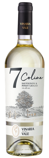 Sauvignon Pinot Grigio 7 Coline from 몰도바 supplied by Vinaria din Vale - 화이트 와인