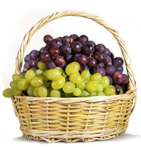 Fresh Grapes from 튀르키예 supplied by Sin Gida Sanayi ve Tic.Ltd.Sti. - Fresh (=Chilled) 신선 포도