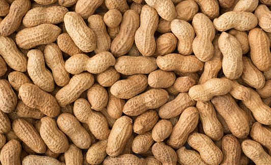 Peanut from 남아프리카공화국 supplied by GWK - 땅콩 알맹이