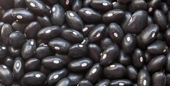 black beans from United States supplied by Pacific Grain & Foods, LLC - Black Black Bean