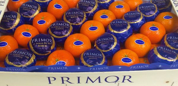 Fresh Whole Mandarin from Spain supplied by SINTESIS (PRIMOR) - Fresh (=Chilled) Fresh Clementine