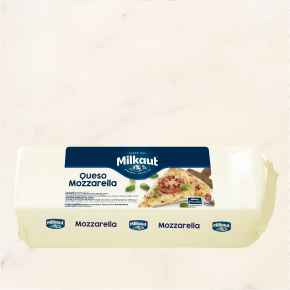 Mozzarella cheese from 아르헨티나 supplied by Milkaut SA - Block 모짜렐라 치즈