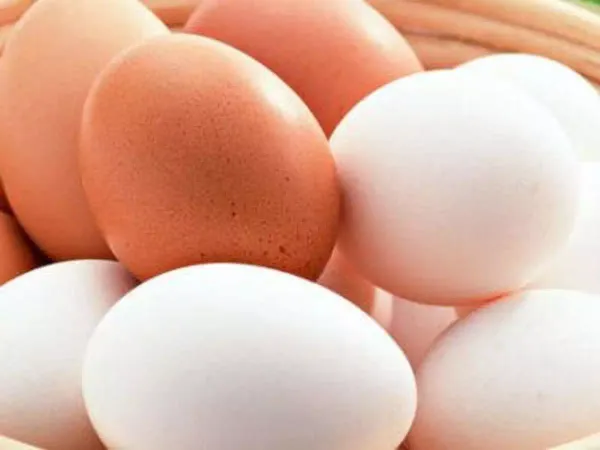 Chicken Egg from Ireland supplied by Clonarn Clover - O’Egg - Liquid Chicken Egg