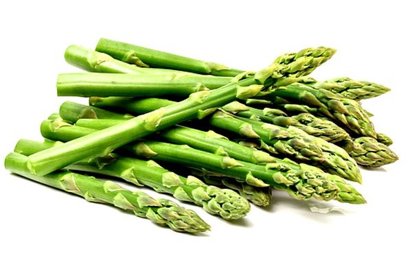 Fresh Asparagus from 스페인 supplied by Carmelo Beltran SL - Green 신선 아스파라거스