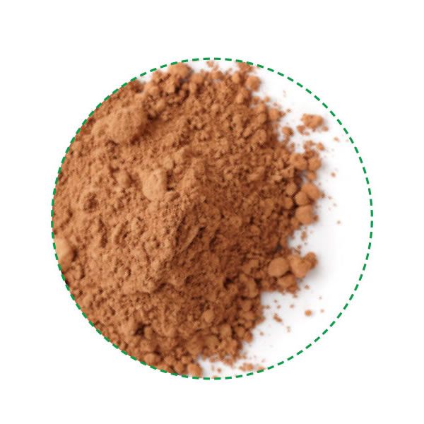 POUDRE DE CACAO 20 / 22 from 코트디부아르 supplied by Rotport - High Quality 코코아 파우더
