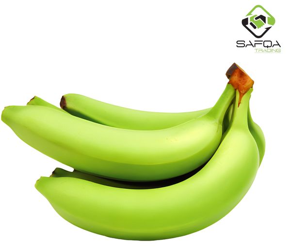 Banana from Ethiopia supplied by Safqa Trading - Cavendish - Bungulan Fresh Banana