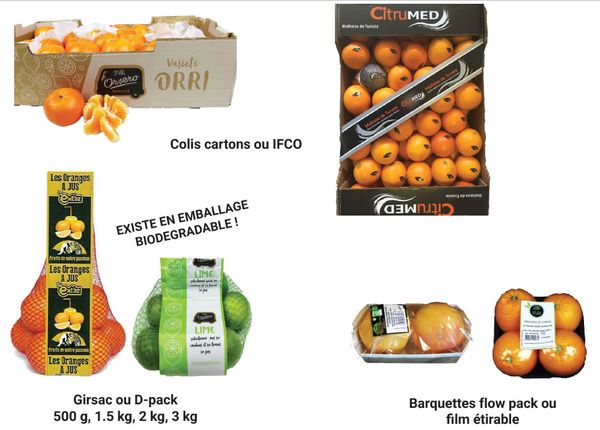 Orange from 튀니지 supplied by AZ France - Raw 신선 오렌지