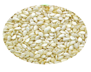 Sesame Seeds from 이집트 supplied by DELTA SPICE EGY - White 참깨