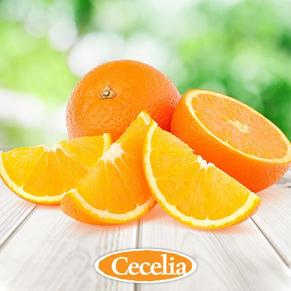 Orange from 미국 supplied by Cecelia Packing Corporation - 주황색 신선 오렌지