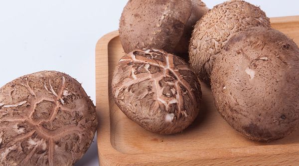 Shiitake from 중국 supplied by Longhai Rongxing Foods Freezing Co., Ltd. - Whole 표고버섯