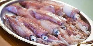 Squid from Spain supplied by Perez Viñas SA - Whole Frozen Squid