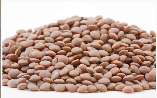 Whole Red Lentils from United Arab Emirates supplied by DIVYA INDUSTRIES GRAIN PROCESSING & PACKING - Yellow Lentil Dried Lentil