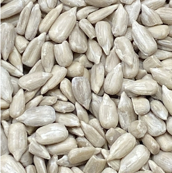 Sunflower Seed from United States supplied by Advanced Sunflower, LLC - Black with White Stripes Sunflower Seed