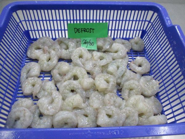 Vannamei Shrimp from 인도네시아 supplied by PT. Wirontono Baru - Size: 61-70 냉동 새우