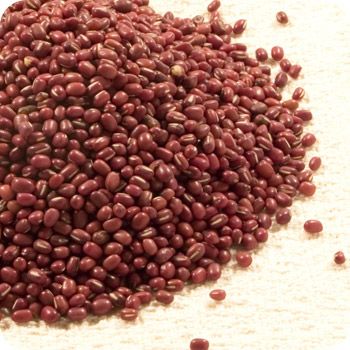 Organic Adzuki Beans from 남아프리카공화국 supplied by Komati Foods - Red 말린 팥