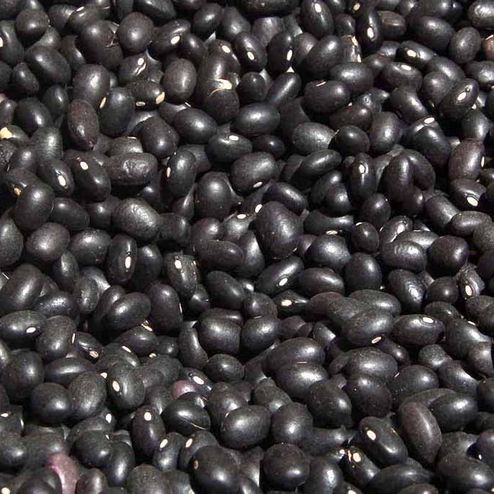 Organic Black Bean from Mexico supplied by Desamex - Dried (=Dehydrated) Black Bean